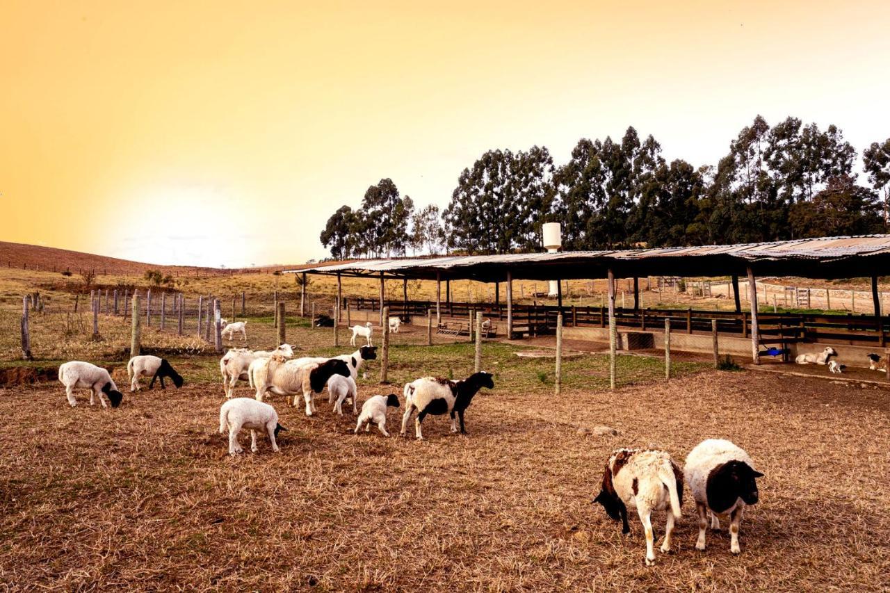 Hotel Fazenda Colina Dos Sonhos โซกอร์โฮ ภายนอก รูปภาพ